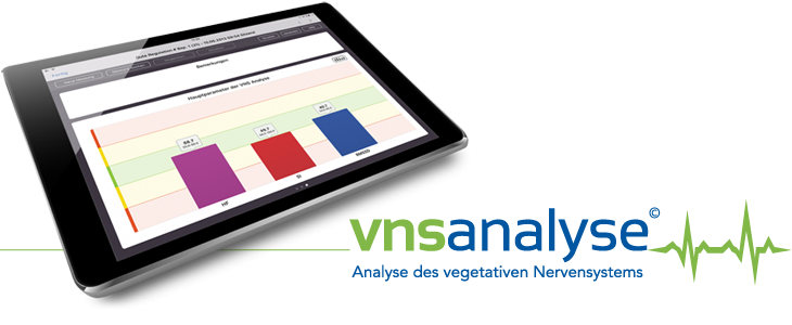 VNS-Analyse